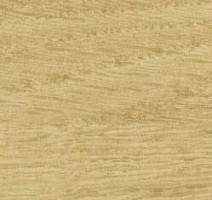 Линолеум Taralay Initial Comfort 0024 Chamois фото 1 | FLOORDEALER